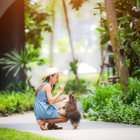 Отель Homa Phuket Town Экстерьер фото