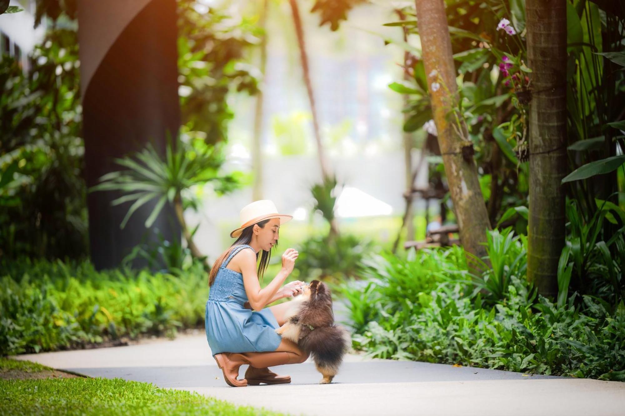 Отель Homa Phuket Town Экстерьер фото